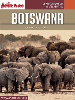cover image of BOTSWANA 2017 Carnet Petit Futé